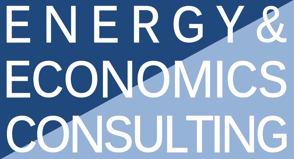 energey and economics consulting
